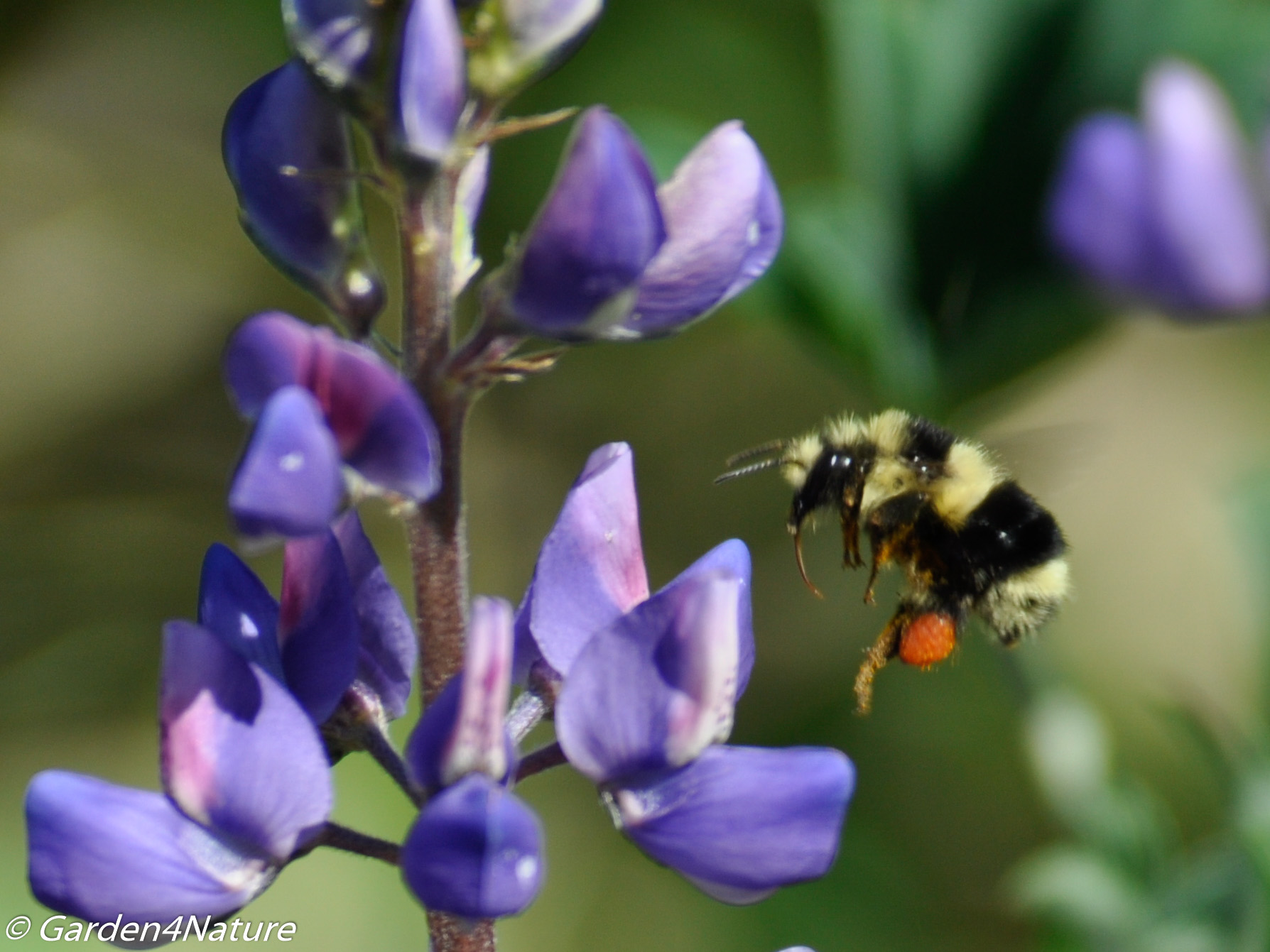 My Interview with the LA Times
