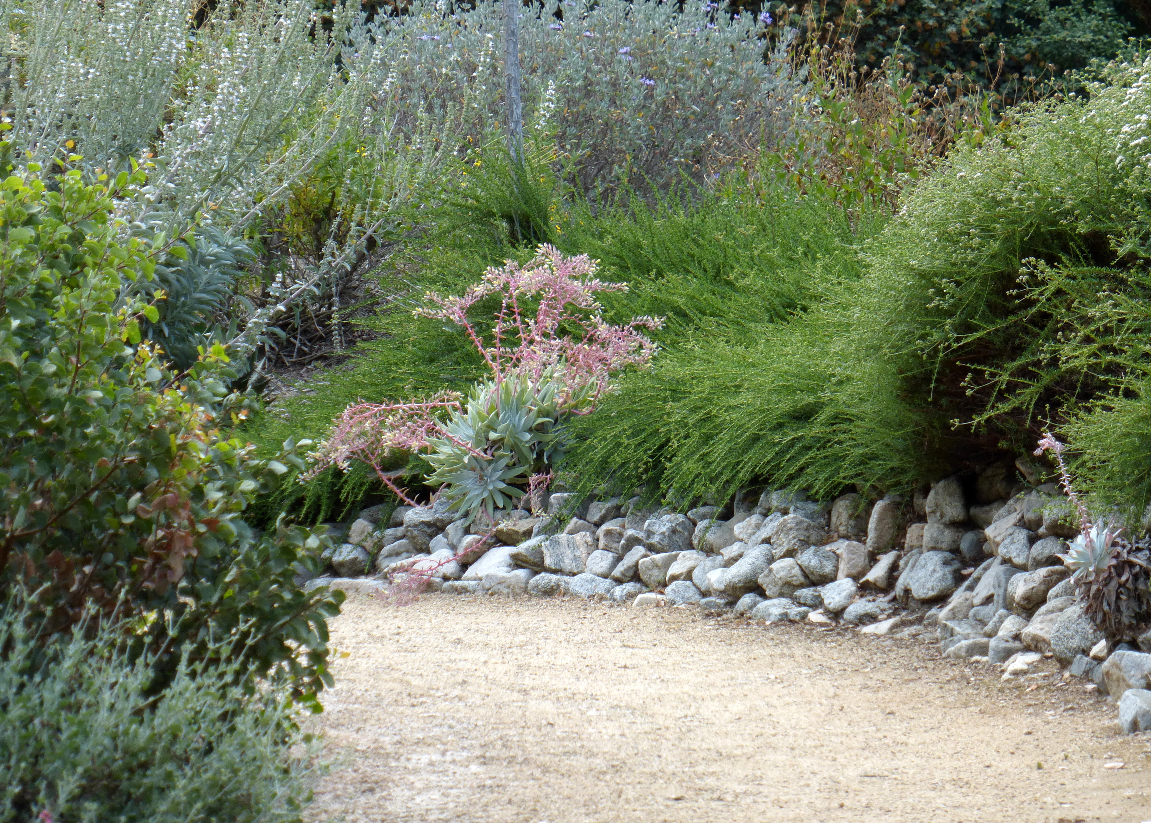 OCCNPS Past, Present & Future: Insights from Board Members