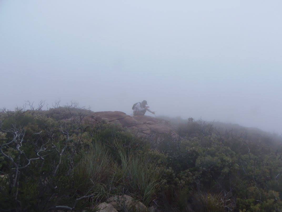 Keep Your Eyes Open Even on the Busiest Trails