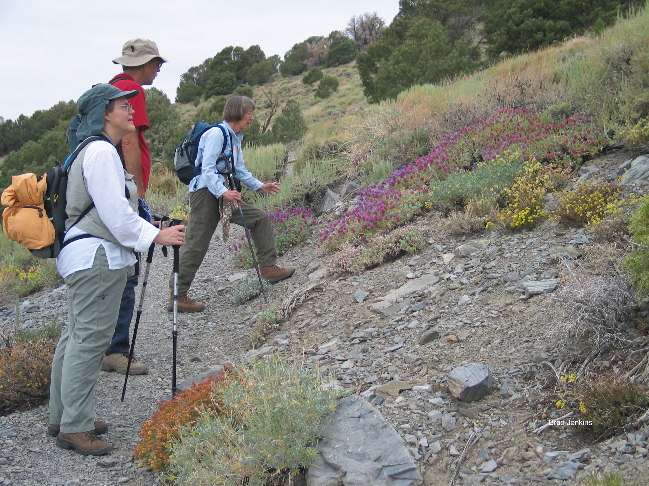 Sarah Jayne: A Legacy of Native Plant Advocacy