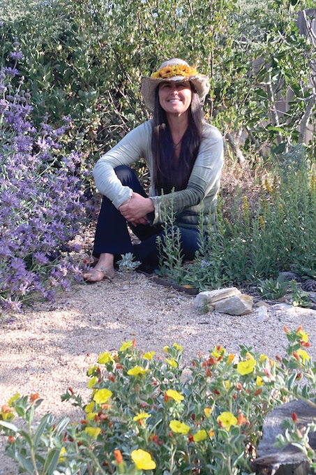 Lori Whalen: A Journey Into Native Plants